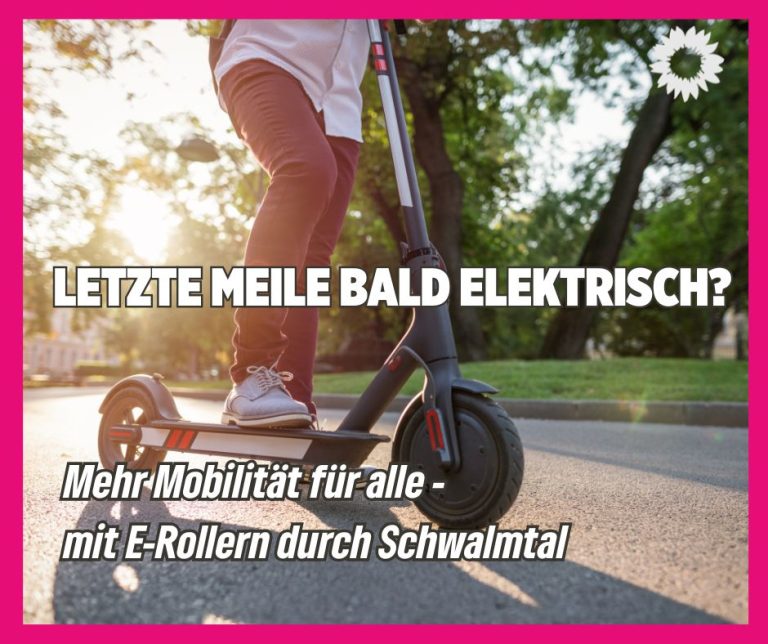 Unser Antrag: Einführung von E-Rollern prüfen