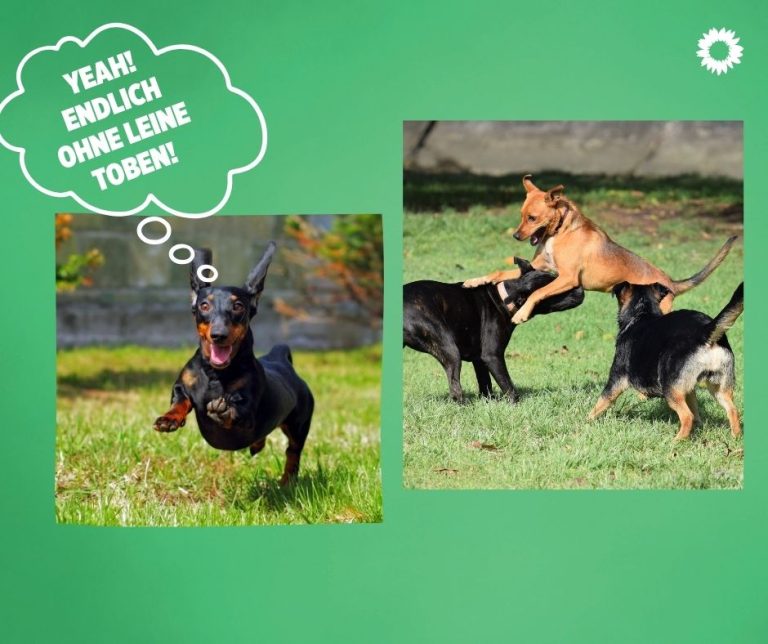 Mehr Freiraum für Hunde